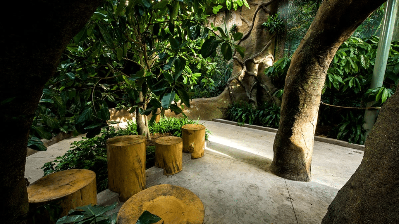 A group of stumps in a garden.