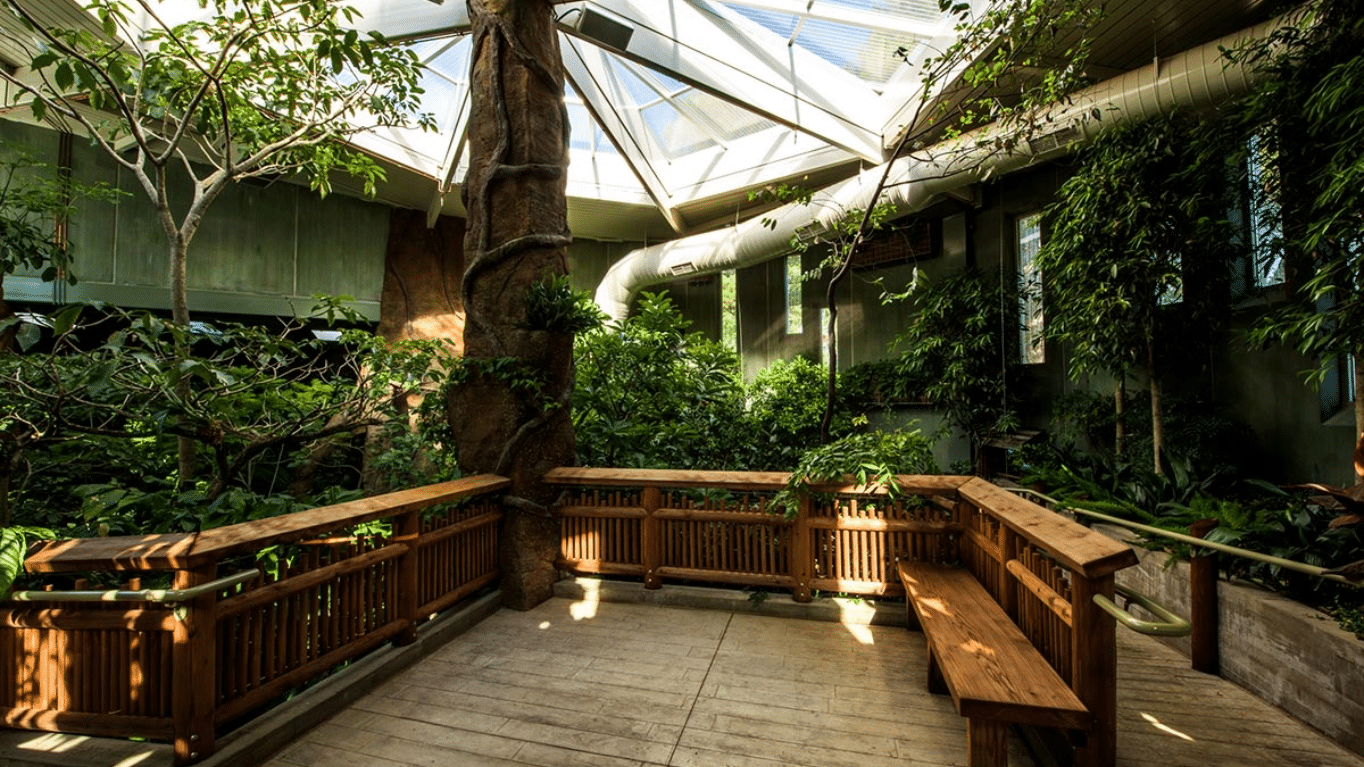 A bird observatory with glass roof and trees